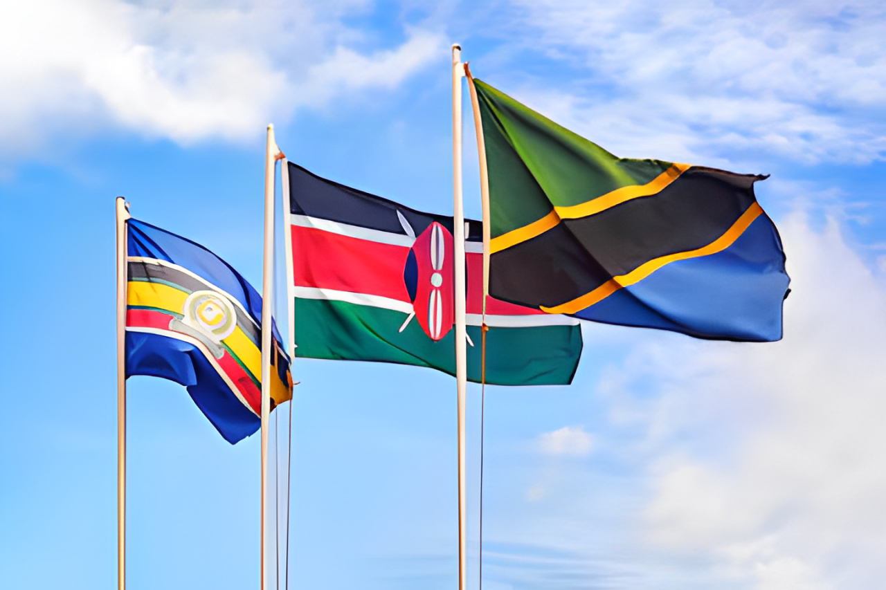 Shaping Kenya’s knowledge economy – Rsif gears for high-level policy dialogue on doctoral training